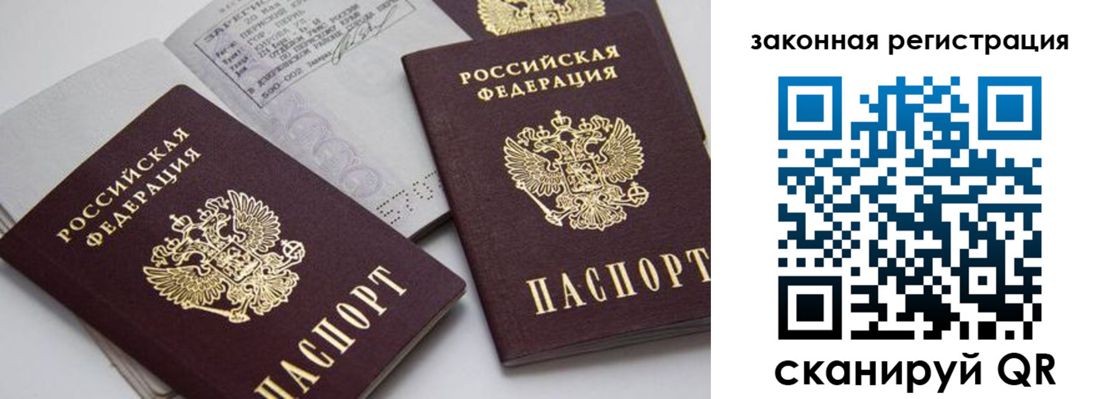 регистрация для школы в Ярославской области